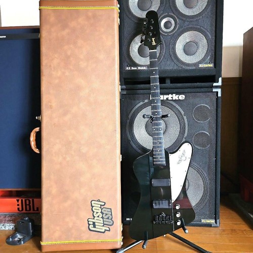 Gibson thunderbird - thunderbird, /