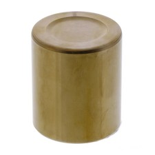 Bremssattelkolben vorne