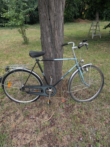 Hercules herren fahrrad - herren,