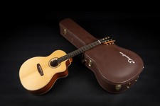 DOWINA Master Series Cocobolo GACE  + L.R. Baggs + Koffer