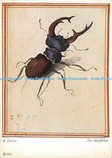 D185581 Wien. Albertina. Der