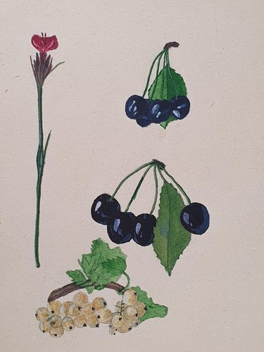 Aquarell auf papier - aquarell, papier,