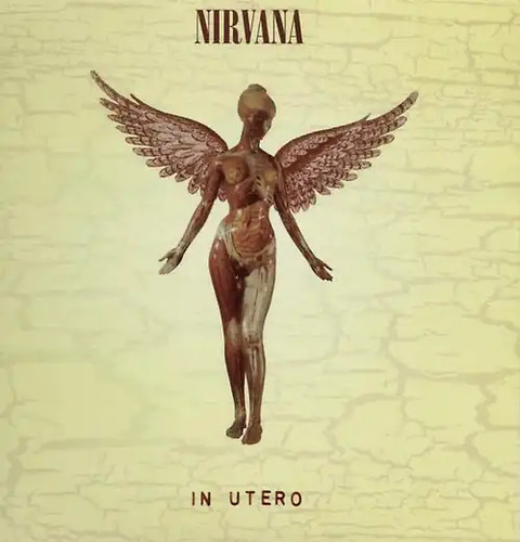 Nirvana in utero - nirvana,