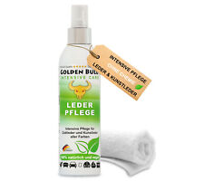 Lederpflege mit Tuch für Auto