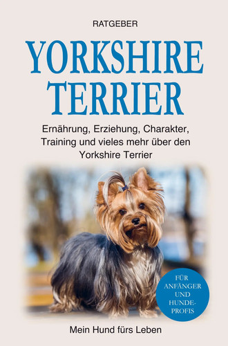 Yorkshire terrier mein hund - mein,