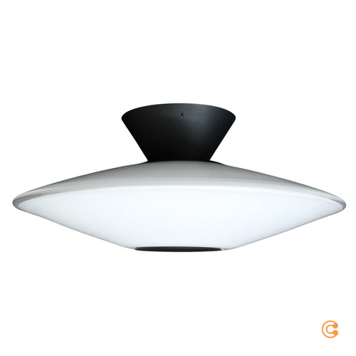Paul neuhaus deckenlampe - paul,