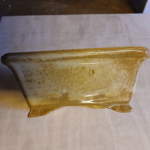 Bonsaischale von koyo japan - koyo,,