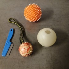 3 x Hundespielzeug Wurfball Igelball Leuchtball 1 Kamm