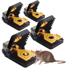 Mausefalle Schlagfallen