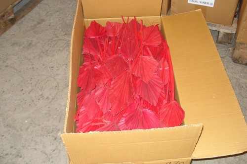 Palmspeer rot groß - 10,