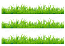 Blumen Gras Wiese Tortenband