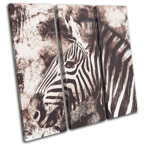 Zebra vintage shabby - zebra,