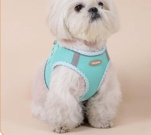 Hundegeschirr für kleine - hundegeschirr,
