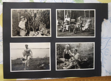 8x Foto Junge Bär DDR