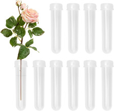 10 Stück Reagenzglas Vase