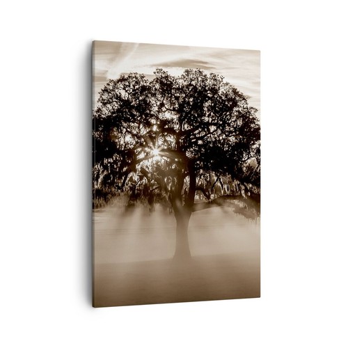 Wandbilder 50x70cm