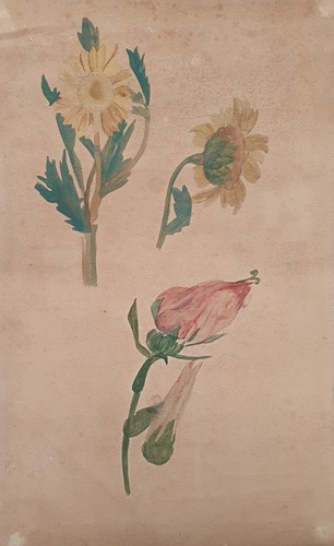Blumen stillleben studie - blumen-stillleben,,