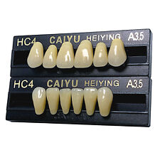 Zähne A3,5 CAIYU Garnitur 28