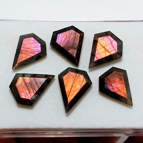Golden purple flash - purple,