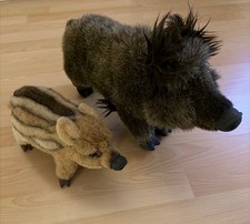 Kösen Wildschwein und