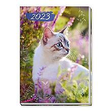 Trötsch Taschenkalender A7 Katze 2023: Mini-Termink... | Buch | Zustand sehr gut