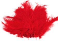 15-20 Flaumfedern 09-17cm