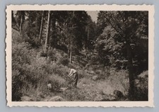 Landwassereck Elzach-Weg