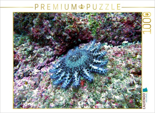Calvendo puzzle dornenkrone - calvendo,