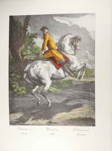 Johann elias ridinger - elias,