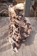 2 XL Treibholz Schwemmholz