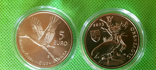 Euro münze slowakei - münze,