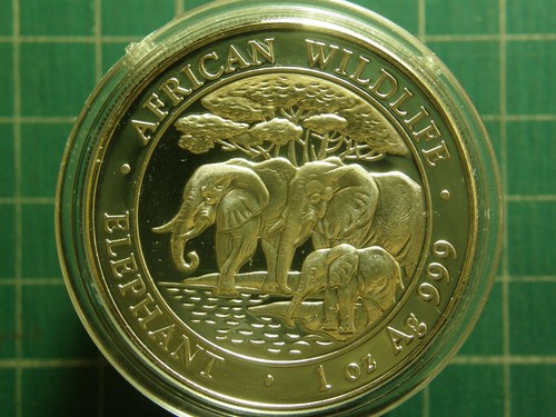 2013 african wildlife - 2013,
