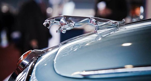 Leinwand bild jaguar - leinwand,