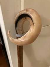 Widderhorn LOCKIG Hirten Gauner Gehen