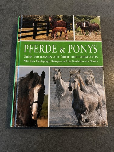 Pferde ponys über 200 - –,