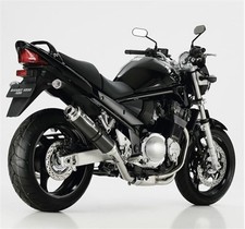 Hurric Auspuff Supersport