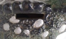 Spardose Sparbüchse grüner Dinosaurier Dino Polyresin Stopfen/Schloß 14 cm lang