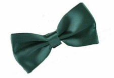 Einfarbig Fliege Dunkel Grün