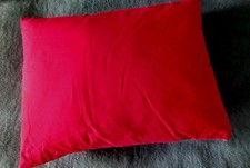 Daunenkissen Kopfkissen Kinderkissen Sofakissen 40 x 55cm / 100% Gänsedaunen