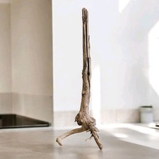 Große Holzskulptur Holz Kunst Deko Skulptur Wurzel Treibholz Echtes Unikat