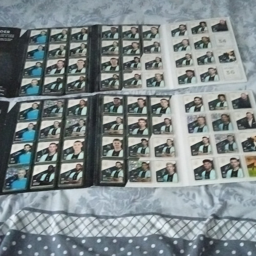 Panini dfb sticker album - panini,