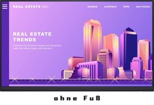 Dell P2422H 23,8 Zoll Monitor IPS Full HD 1920x1080 DP HDMI VGA (Displaykratzer)