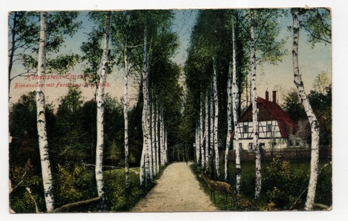 Hohenstein ernstthal - ak,