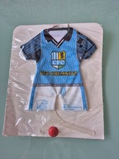 Chemnitzer FC - Mini Trikot mit Bügel und Saugnapf