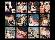 12 erotische Vintage Stereofotos (Akt/Nude) 18x9 cm: Nude Girls (Lot 4)