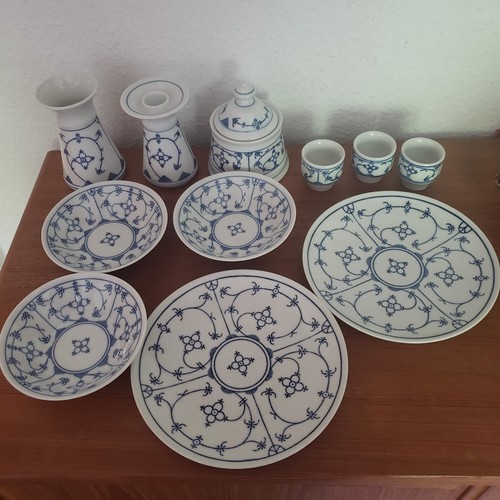 Winterling indisch blau - indisch,