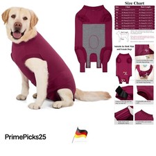 Hundebody Nach Op Schutzanzug