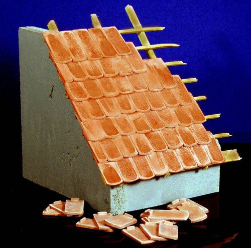 100 keramik biberschwanz - 100,