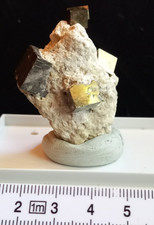 Pyrit Stufe mit  Würfel im Muttergestein aus Navanju, Steinbruch in Spanien