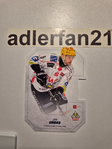 Del 2025 2026 - del, 25-26